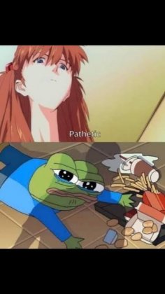 images (2).jpeg