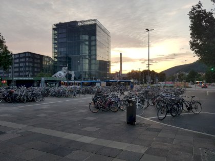 20230714_054035.jpg