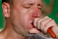 hot dog champion.webp