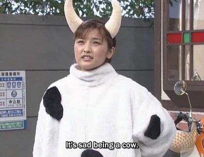 cow life.jpg