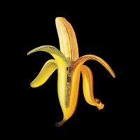 The Dandy Warhols - Welcome To The Monkey House - 09 - The Last High.mp3