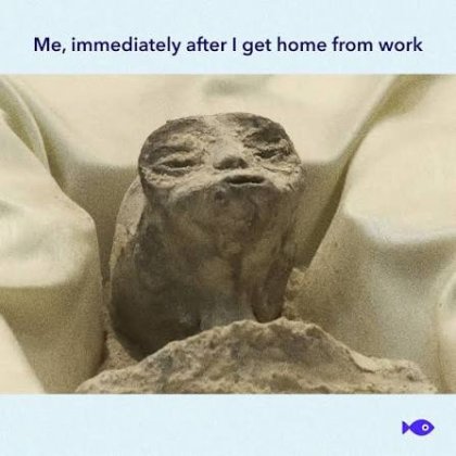 images (6).jpeg