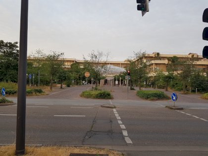 20230714_055543.jpg