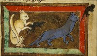 Medieval-Animal-Cat-and-rats.jpg