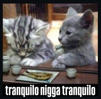 IMG_2144.jpeg