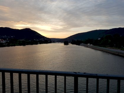 20230714_054903.jpg