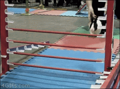 XpcKZhH.gif