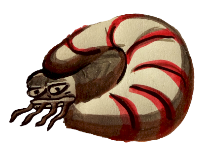 nautilus.png