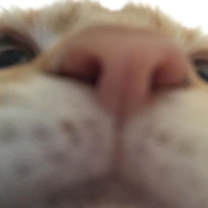 1581283843338.jpg
