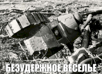 macro-безудержное-веселье-2.png