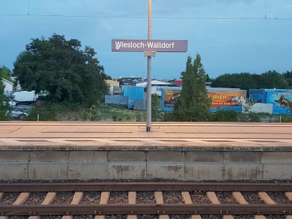 20230714_051616.jpg