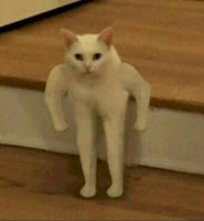 u wanna fight faggt.jpg