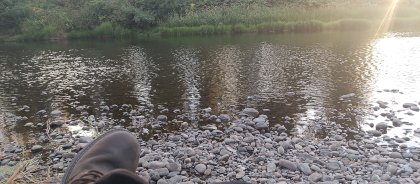 IMG_20230715_202332_378.jpg