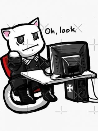 images (9).jpeg