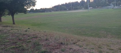 IMG_20230905_193523_199.jpg