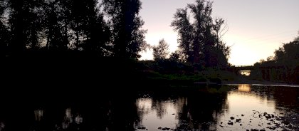 IMG_20230715_211202_313.jpg