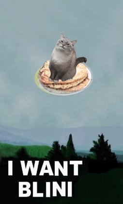562.jpeg