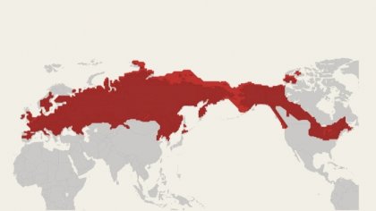 map2.jpg