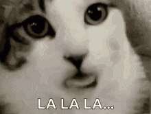 56e74fdc24d005196fc8ade76a269736_thumb.gif